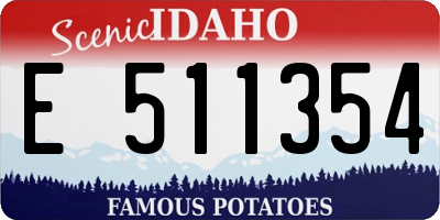 ID license plate E511354