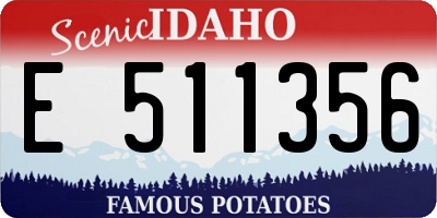 ID license plate E511356