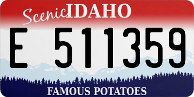 ID license plate E511359