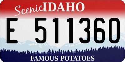ID license plate E511360