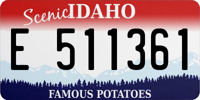 ID license plate E511361