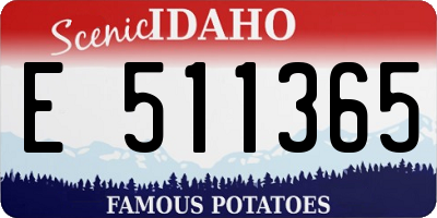 ID license plate E511365