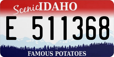 ID license plate E511368