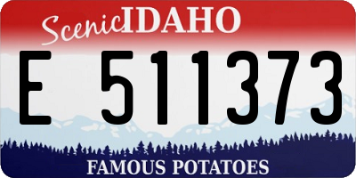 ID license plate E511373