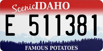 ID license plate E511381