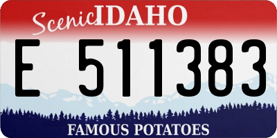 ID license plate E511383