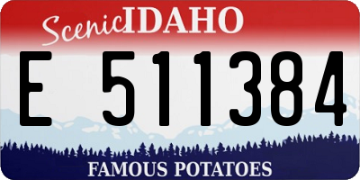 ID license plate E511384