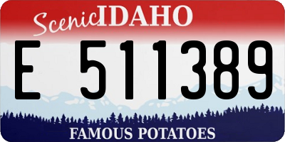 ID license plate E511389