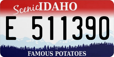 ID license plate E511390