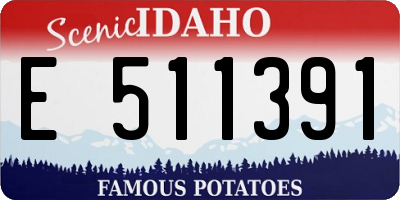 ID license plate E511391