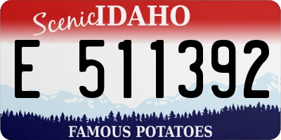 ID license plate E511392