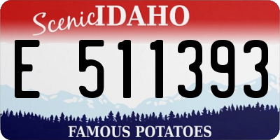 ID license plate E511393