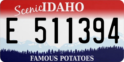 ID license plate E511394