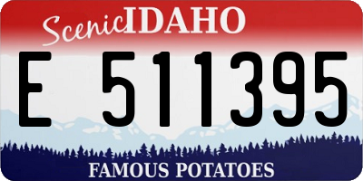 ID license plate E511395