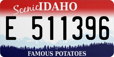 ID license plate E511396