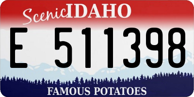 ID license plate E511398
