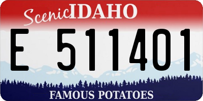 ID license plate E511401