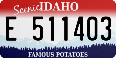 ID license plate E511403