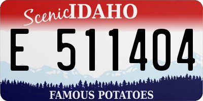 ID license plate E511404