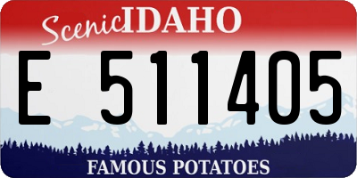ID license plate E511405