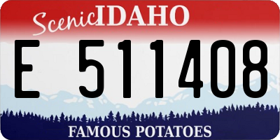 ID license plate E511408