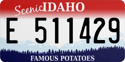 ID license plate E511429