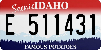 ID license plate E511431