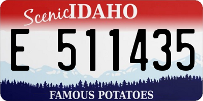 ID license plate E511435