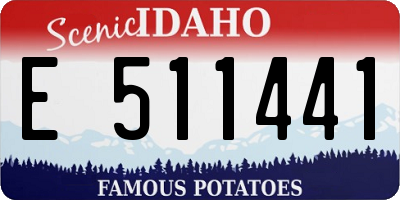 ID license plate E511441