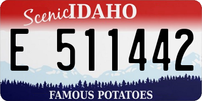 ID license plate E511442