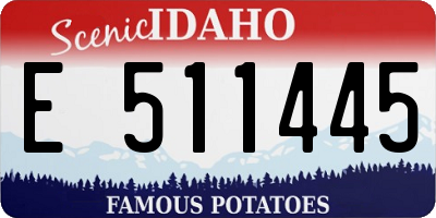 ID license plate E511445