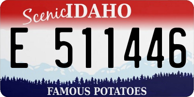 ID license plate E511446