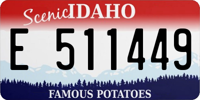 ID license plate E511449