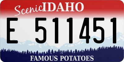 ID license plate E511451