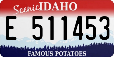 ID license plate E511453