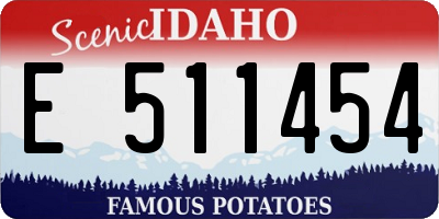 ID license plate E511454