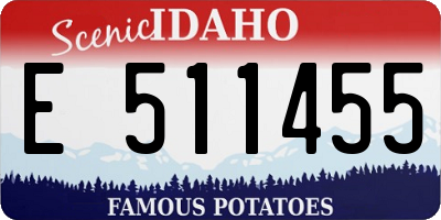 ID license plate E511455