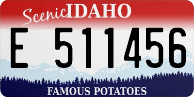 ID license plate E511456