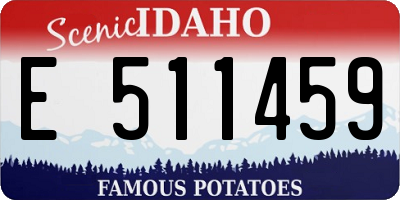 ID license plate E511459