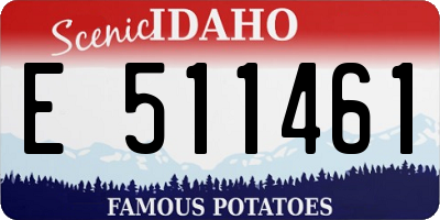 ID license plate E511461