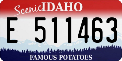 ID license plate E511463