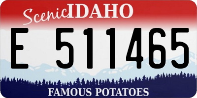 ID license plate E511465