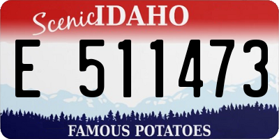 ID license plate E511473