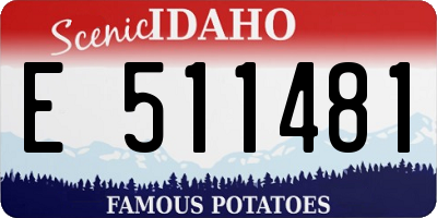 ID license plate E511481
