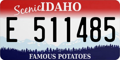 ID license plate E511485