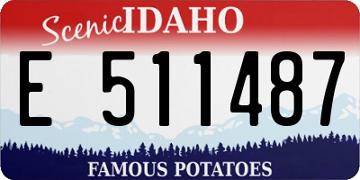 ID license plate E511487