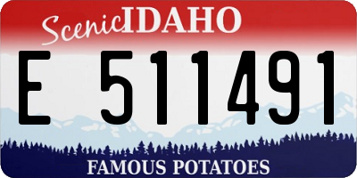 ID license plate E511491