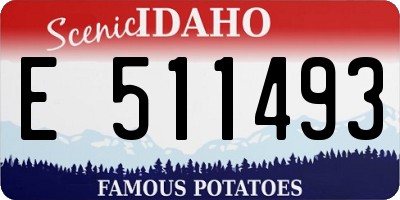 ID license plate E511493