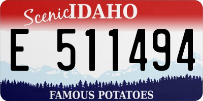 ID license plate E511494