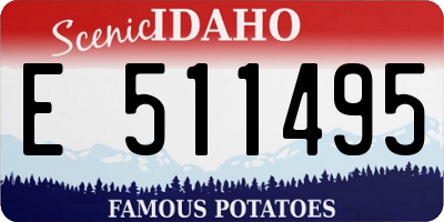 ID license plate E511495